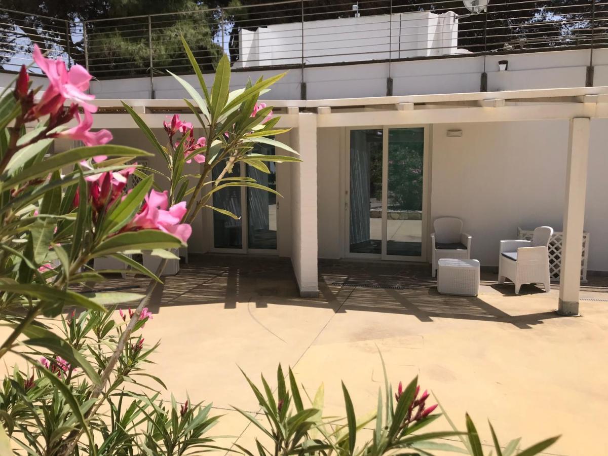Angolo Mare Apartments & Rooms 皮诺港 外观 照片